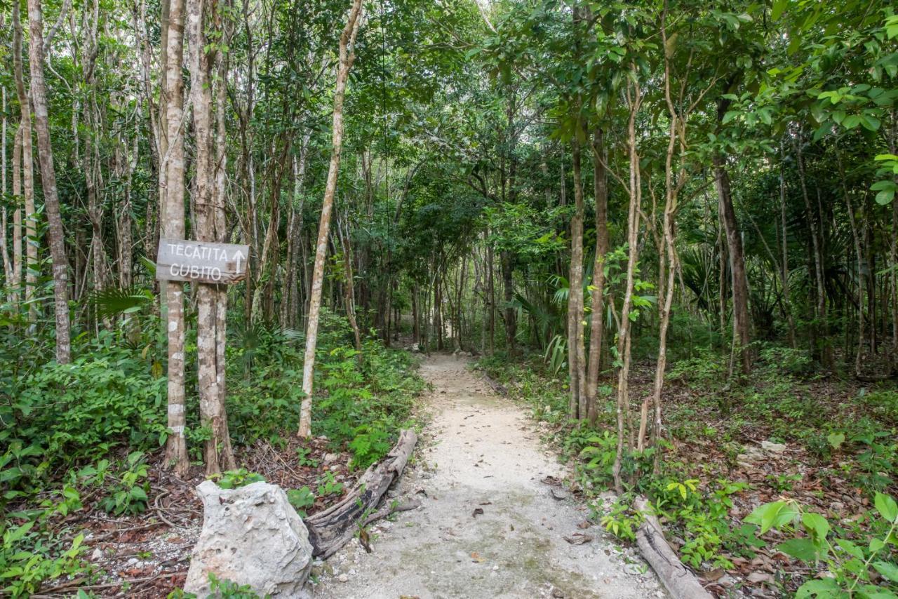 Hotel Casa Costal - Glamping Puerto Morelos Exterior foto